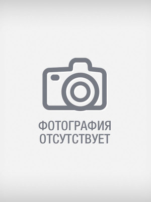 Заместитель директора.